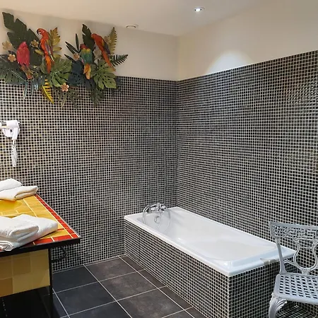 Bed & Breakfast La Maison Des Consuls Mirepoix (Ariege)